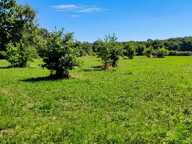Terrain de loisir de 3 000 m² au calme — photo 2