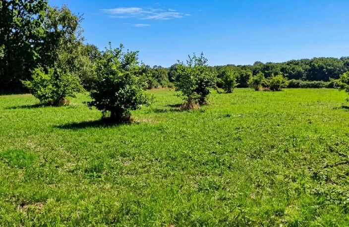 Terrain de loisir de 3 000 m² au calme — photo 2