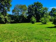 Terrain de loisir de 3 000 m² au calme — photo 3
