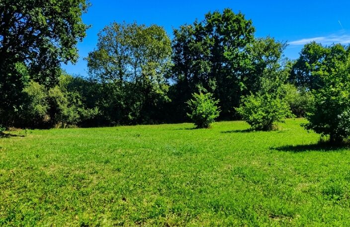 Terrain de loisir de 3 000 m² au calme — photo 3