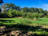 Terrain de loisir de 3 000 m² au calme — photo 4