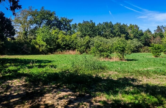 Terrain de loisir de 3 000 m² au calme — photo 4