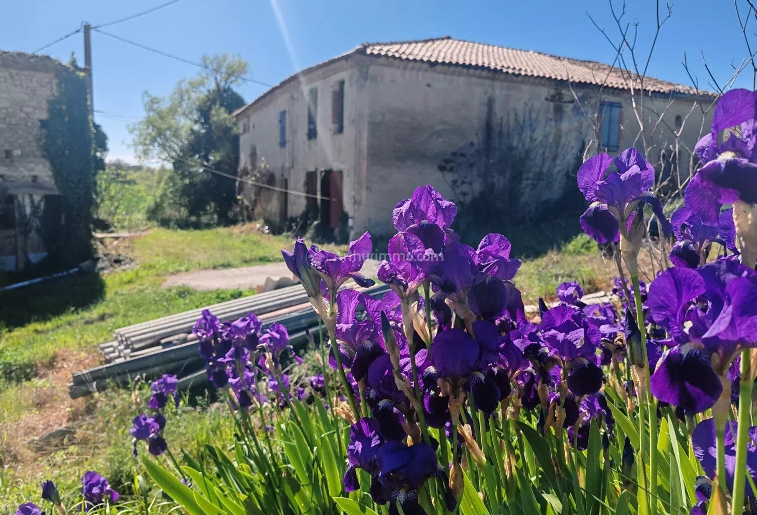 Ferme en pierre à rénover - 6 pièces à Florentin — photo 1