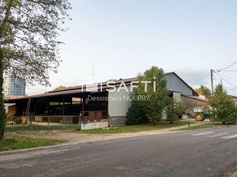 Propriété équestre — photo 1