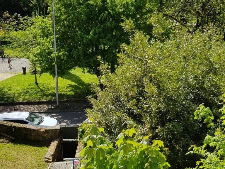Idéal investisseurs, appartement vendu avec locataire en place — photo 1