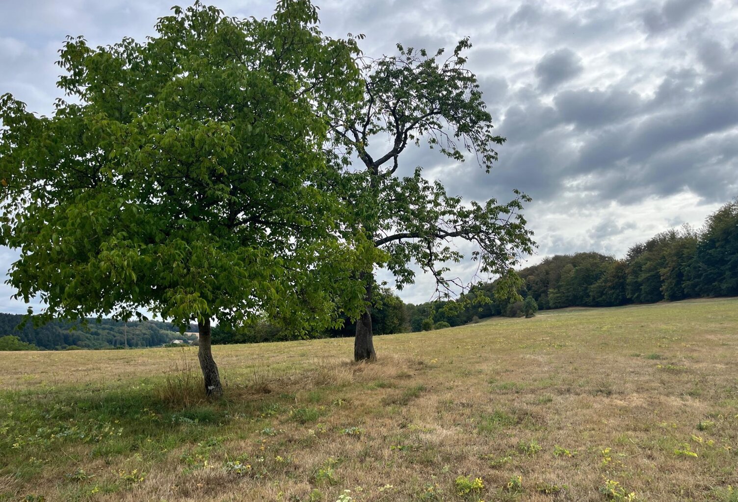 Terrain constructible au calme avec vue dégagée — photo 1