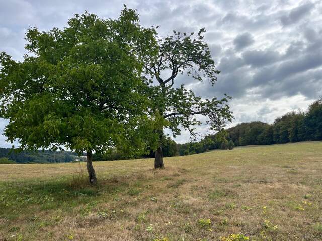 Terrain constructible au calme avec vue dégagée — photo du bien