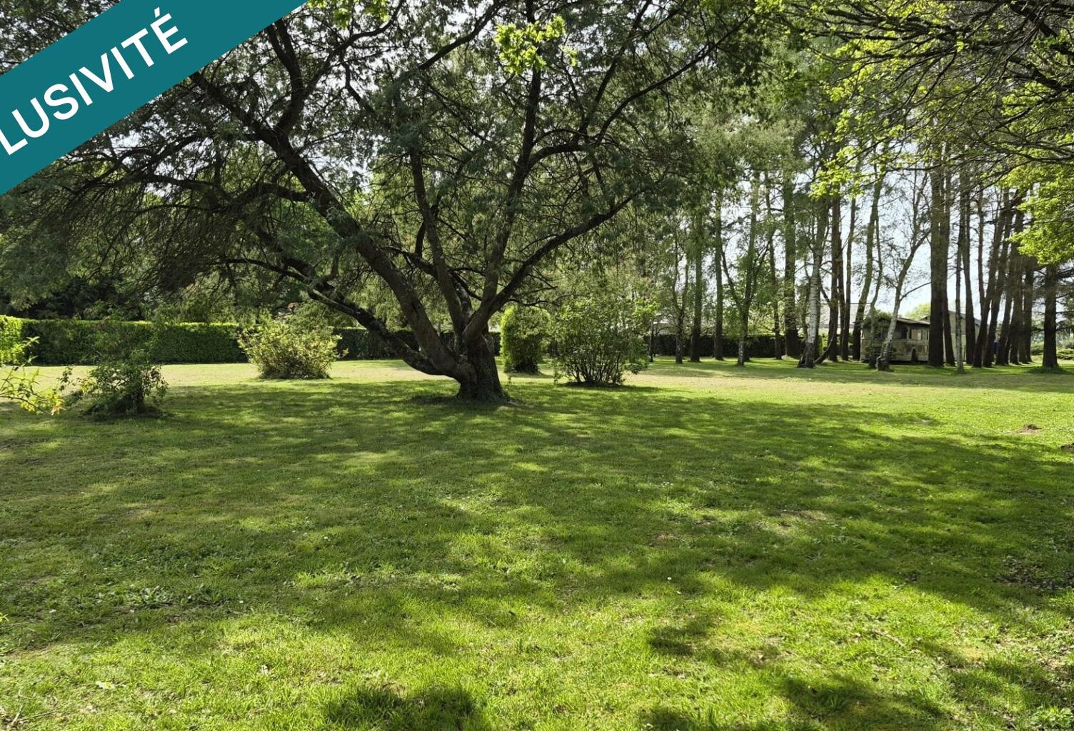 Terrain 2850 m² constructible — photo 1