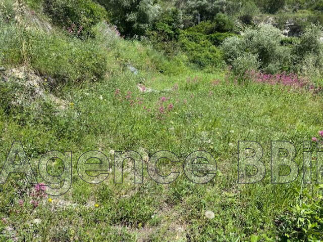 vente terrain — photo du bien