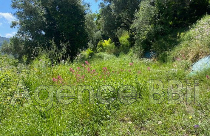 vente terrain — photo 3