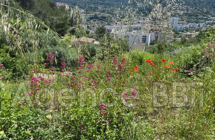 vente terrain — photo 5