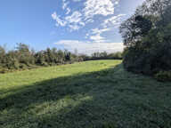 BEAU TERRAIN MAILLE MARAIS POITEVIN DE 2770 M2 — photo 2