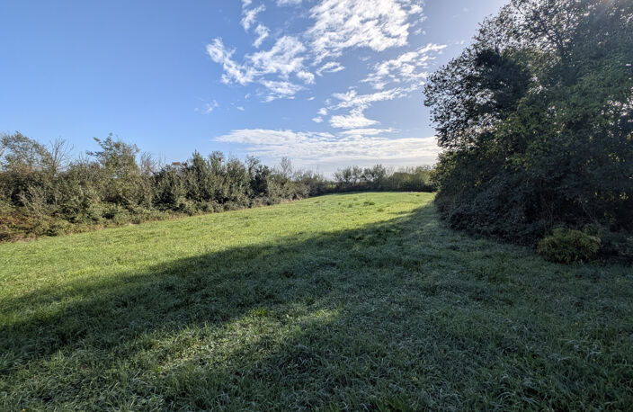 BEAU TERRAIN MAILLE MARAIS POITEVIN DE 2770 M2 — photo 2