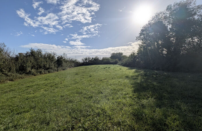 BEAU TERRAIN MAILLE MARAIS POITEVIN DE 2770 M2 — photo 3