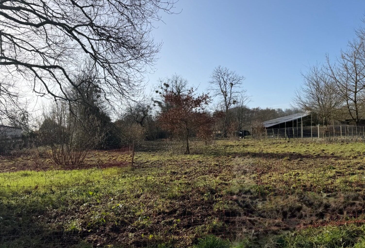 Terrain à bâtir à Villandraut (33730) — photo 1