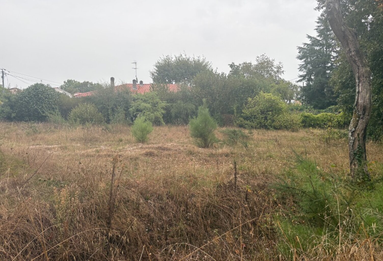 Terrain à bâtir à Villenave-d'Ornon (33140) — photo 1