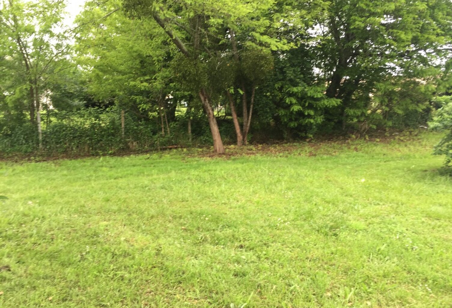 Terrain à bâtir à Castres-Gironde (33640) — photo 1