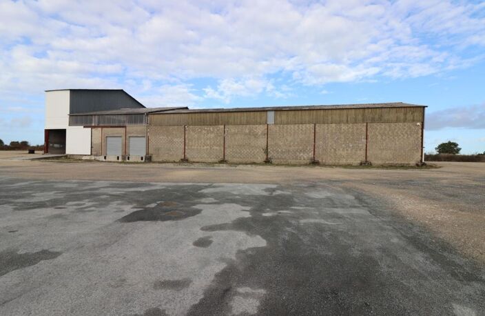 A LOUER HANGAR PLATEFORME LOGISTIQUE SECTEUR DE ROCHEFORT (17) — photo 3