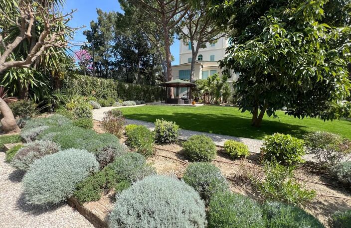 CANNES - BASSE CALIFORNIE -JARDIN — photo 2