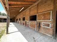 La passion des chevaux — photo 3