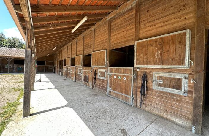 La passion des chevaux — photo 3