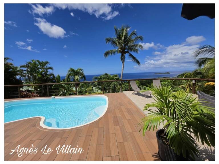 Villa Vue Mer avec Piscine + Appartement T3 — photo 1