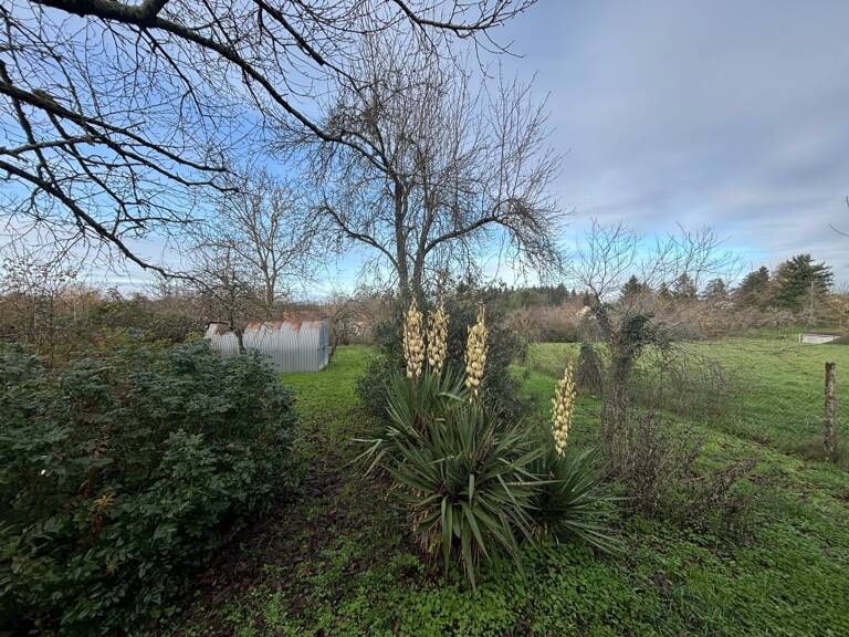 Grande maison familiale avec jardin en centre-ville de La Guerche-sur-l’Aubois — photo 1