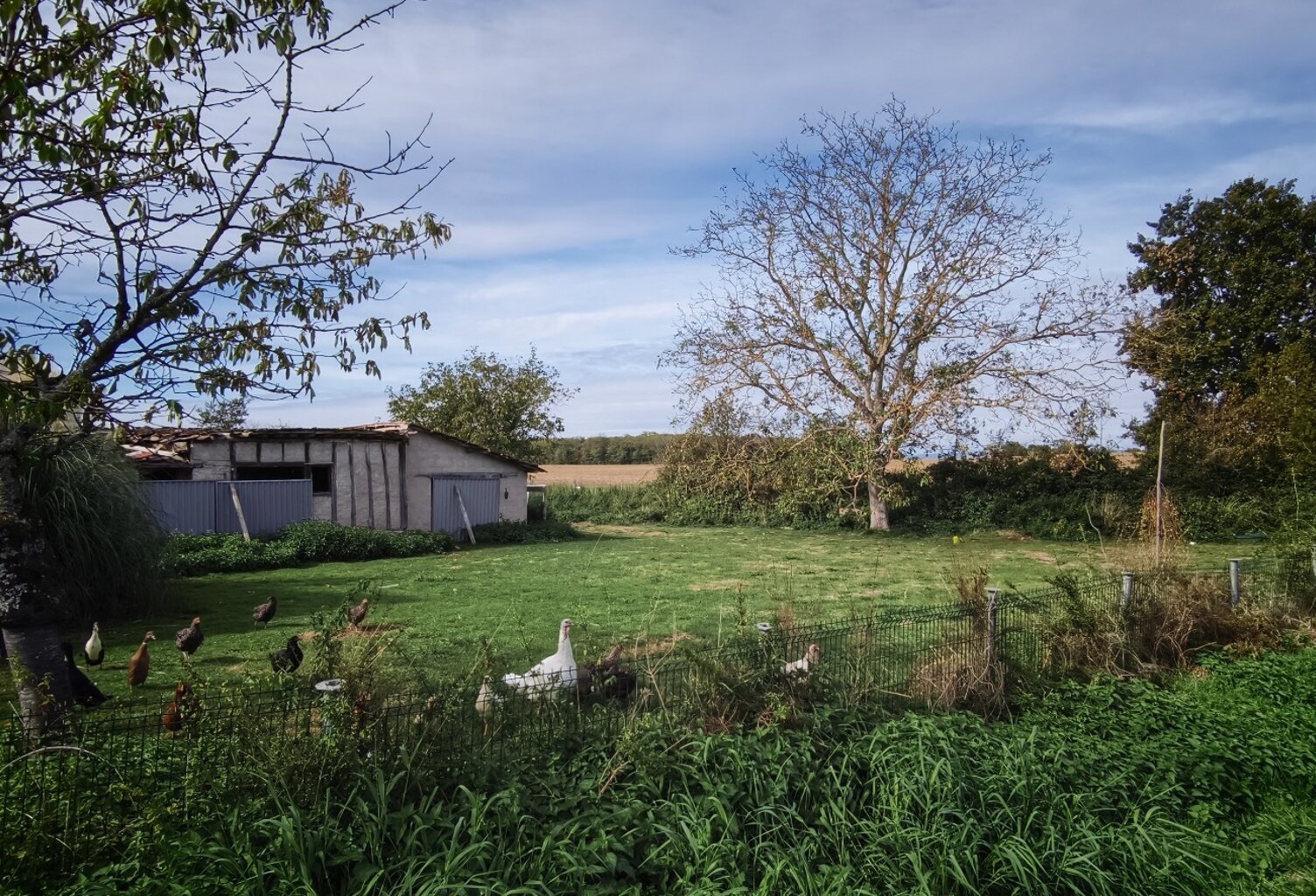 Terrain constructible de 1600m2 à St Gervais en Valliere — photo 1