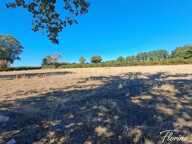 Longère à vendre 4 pièces  2 Ha (18 Cher) — photo 2