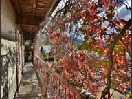 A PALLON, commune de Freissinières, Maison de village à rénover, avec granges, caves et terrain non attenant — photo 4