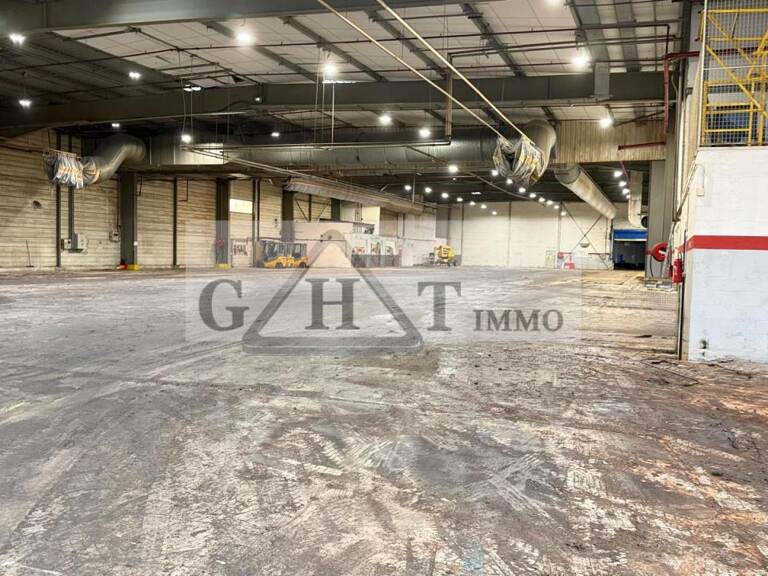 ENTREPÔT BUREAUX DE 7 663 M² À VENDRE À MEAUX — photo 1