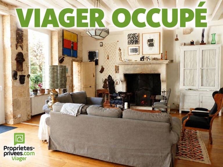 VIAGER OCCUPÉ MAISON D'ARTISTE CHATILLON SUR LOIRE — photo 1