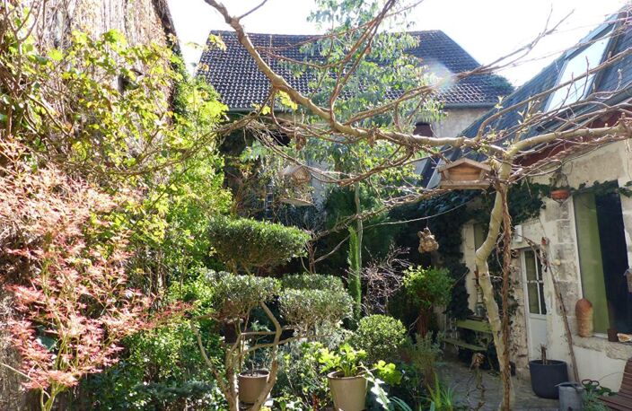 VIAGER OCCUPÉ MAISON D'ARTISTE CHATILLON SUR LOIRE — photo 3