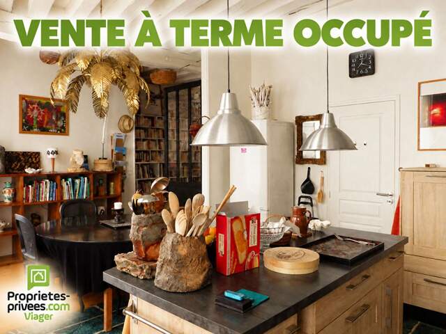 VENTE À TERME OCCUPÉE MAISON D'ARTISTE CHATILLON SUR LOIRE — photo du bien