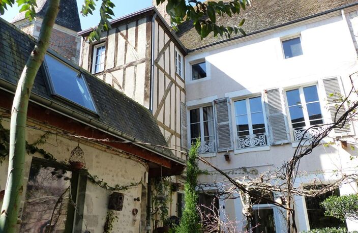 VENTE À TERME OCCUPÉE MAISON D'ARTISTE CHATILLON SUR LOIRE — photo 2