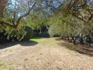 ROUGIERS VILLA T3 sur 1537 m² de terrain — photo 4
