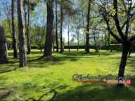 Terrain Plesse 2850 m2 — photo 2