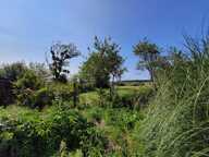 FERMETTE  de plain-pieds 100 m2 et 8000M m2DE TERRAIN - PRUSY 10 — photo 3