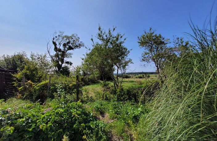 FERMETTE  de plain-pieds 100 m2 et 8000M m2DE TERRAIN - PRUSY 10 — photo 3