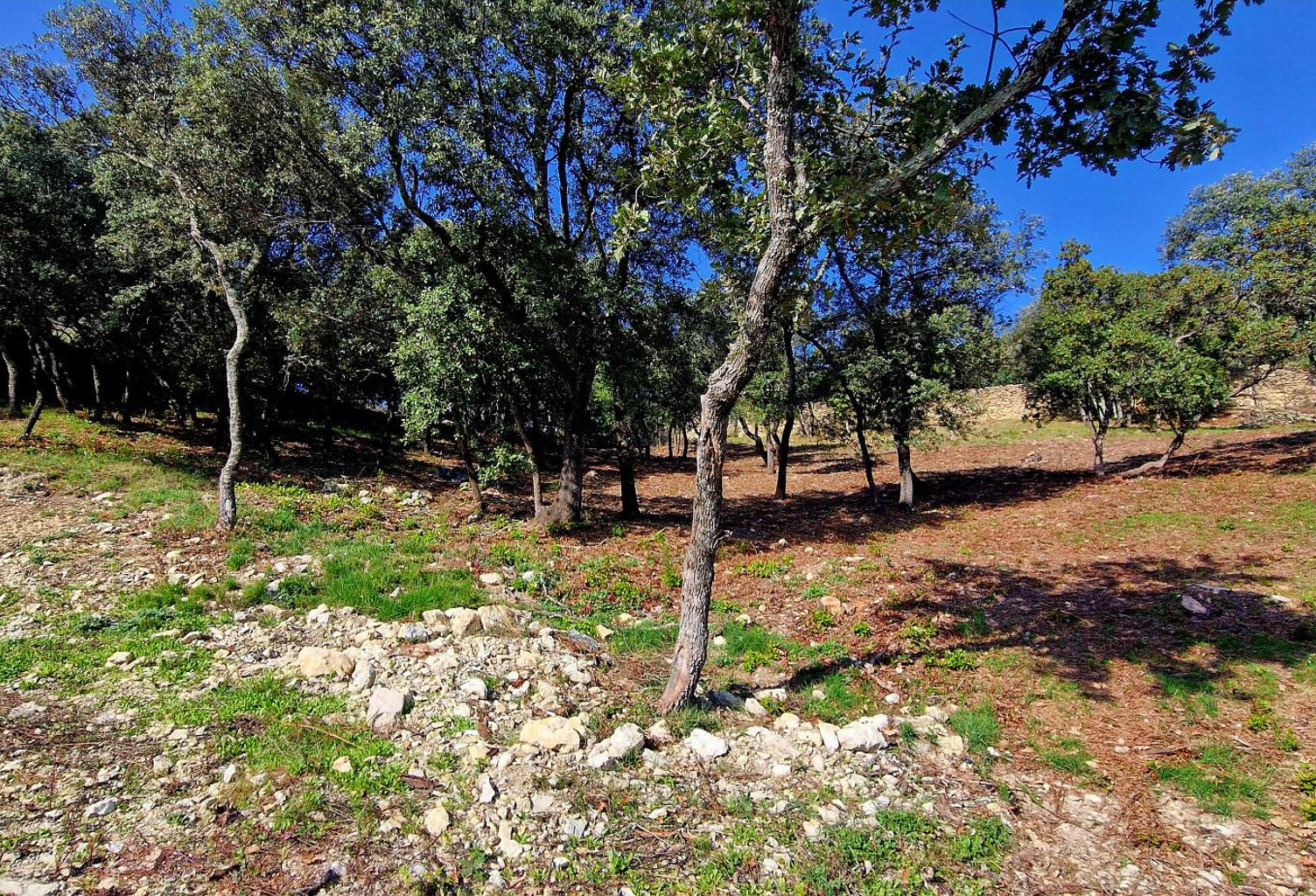 Terrain Rochegude 1502 m2 — photo 1