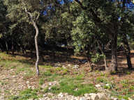 Terrain Rochegude 1502 m2 — photo 2