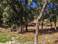 Terrain Rochegude 1502 m2 — photo 4