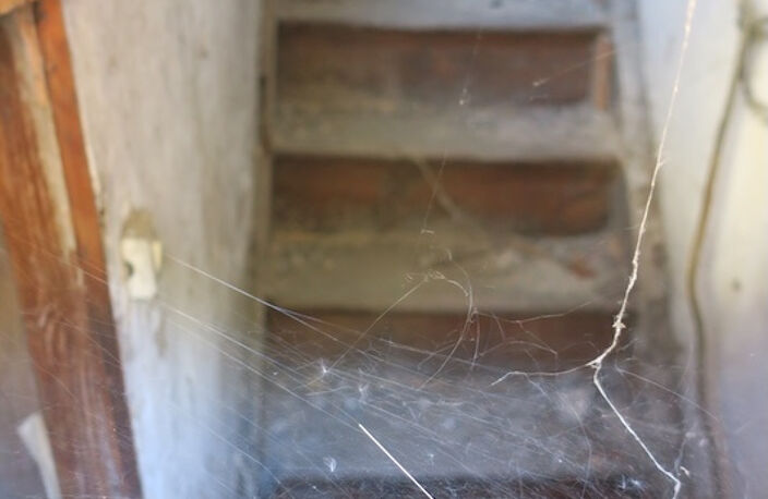 Maison à rénover — photo 3