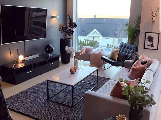 Studio de 40M² OU T2 / Proche tram et Commodités — photo du bien