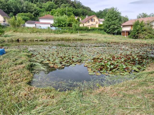 Vente Terrain 2 703 m&sup2; — photo du bien