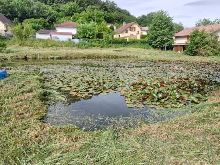 Vente Terrain 2 703 m&sup2; — photo 1