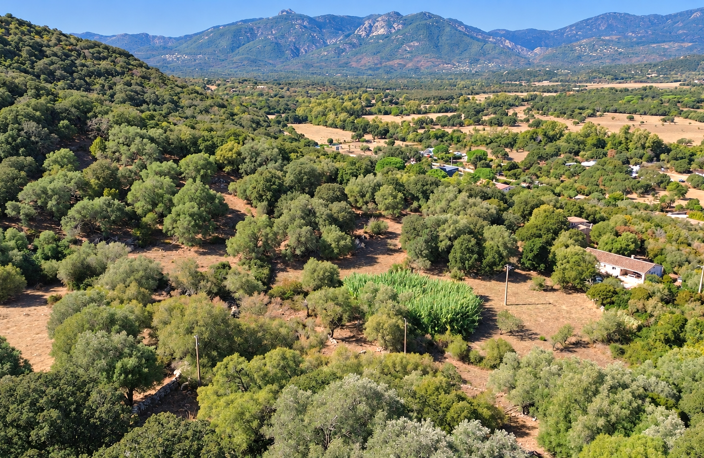 À SEULEMENT 3 min DE PORTO-VECCHIO   TERRAIN DE 18 830 m2 AV — photo 5