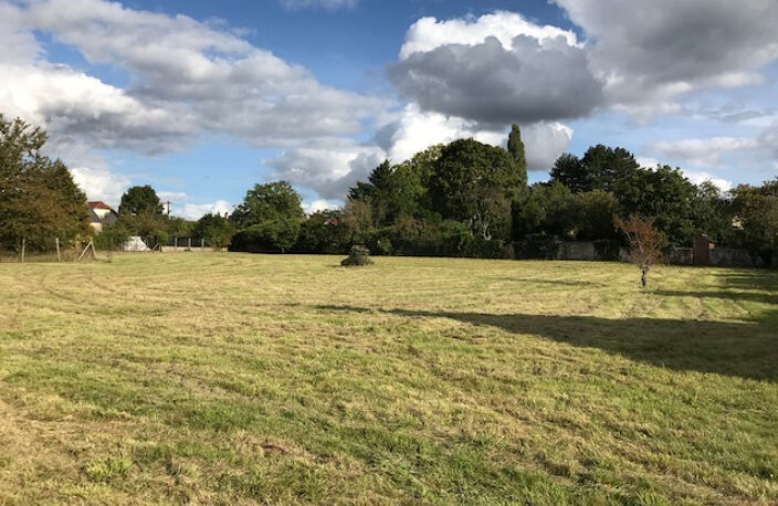 Terrain à vendre à Aubigny-sur-Nère  3 352 m² — photo 3