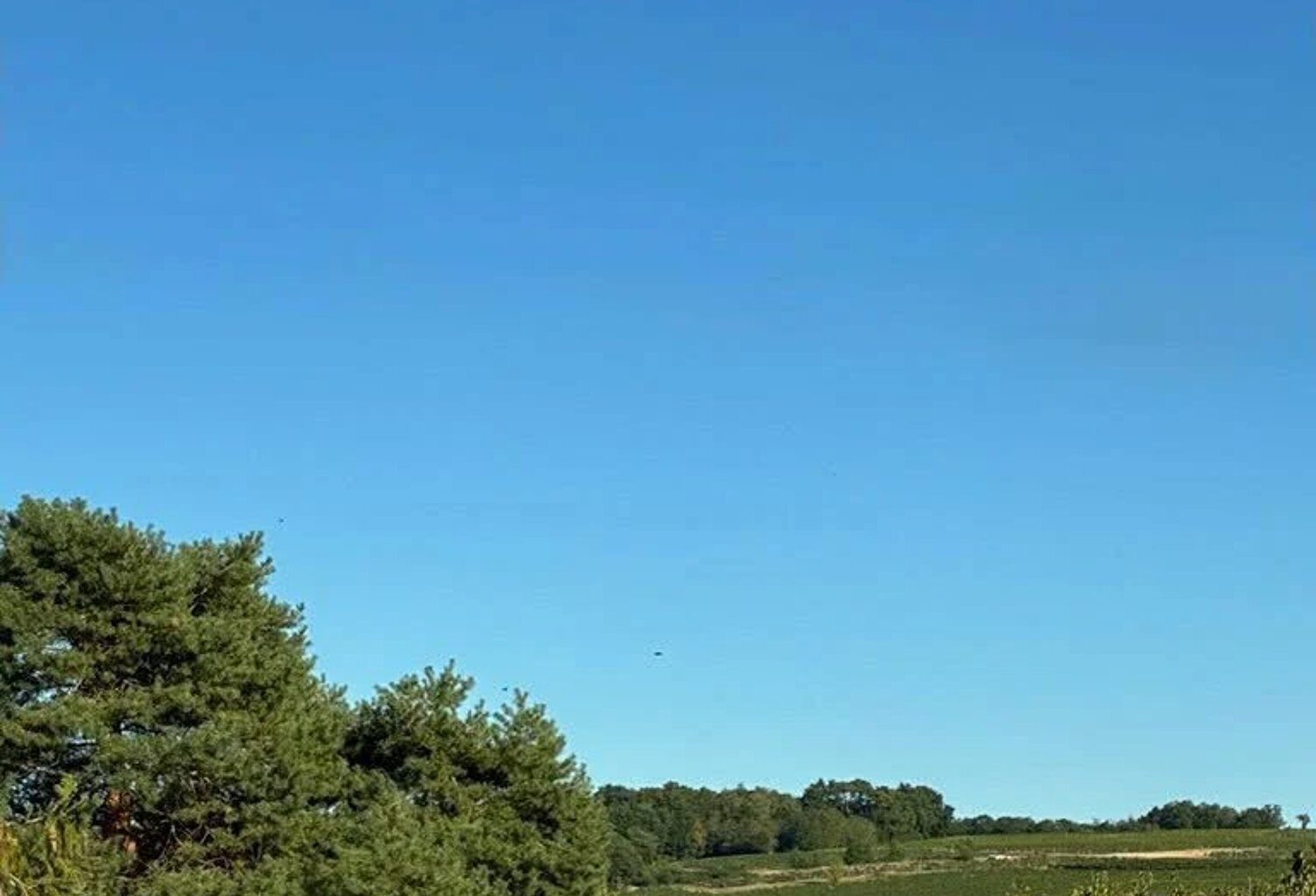 EXCLUSIVITÉ - TERRAIN CONSTRUCTIBLE CRAVANT-LES-COTEAUX — photo 1