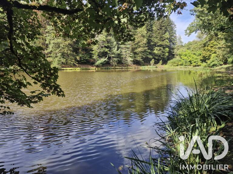 Vente Terrain 10 647 m&sup2; — photo 1